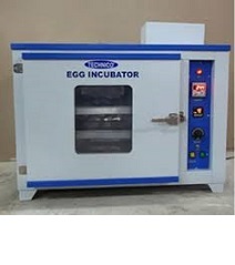 egg incubator